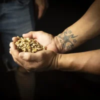 Café Papamín: 100% Café de Puerto Rico