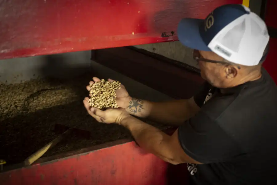 El Café de Puerto Rico: Un Sabor que Despierta Todos los Sentidos